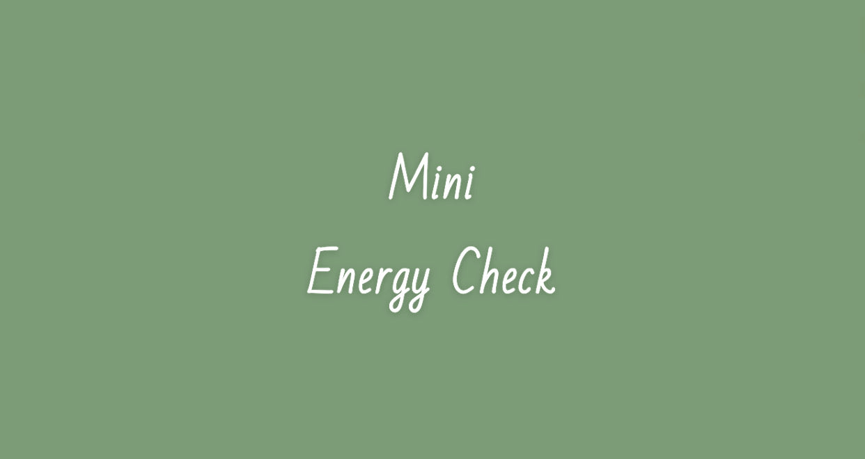 Mini Energy Check