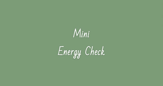 Mini Energy Check