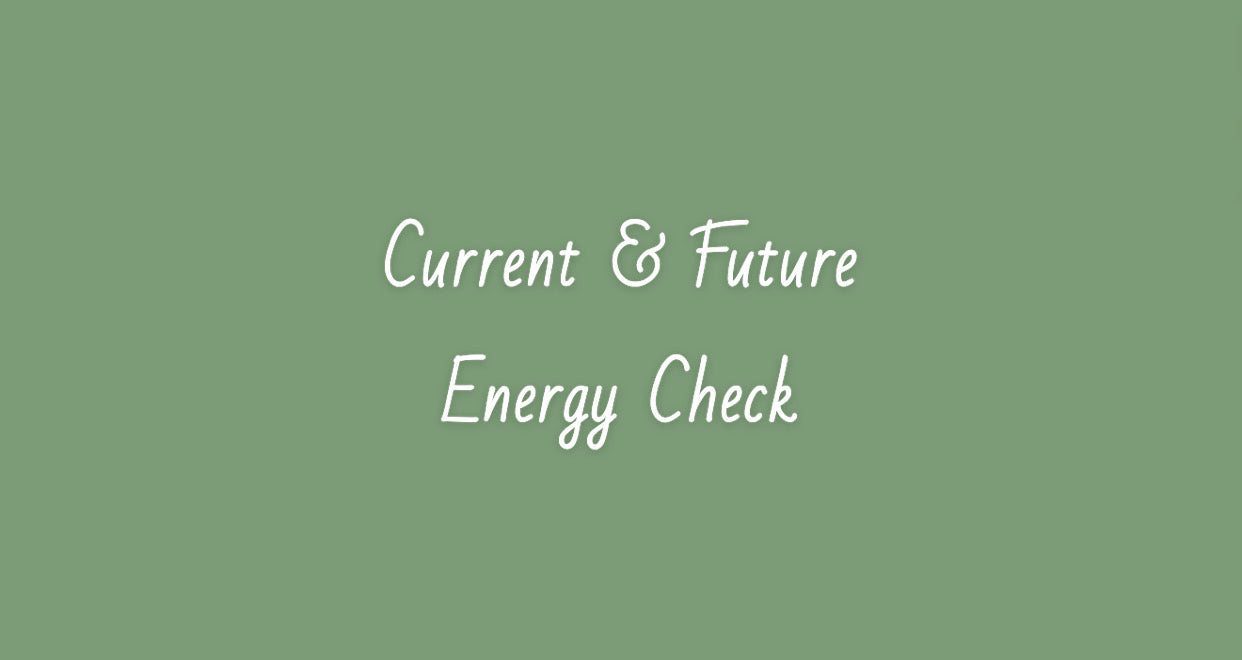 Current & Future Energy Check