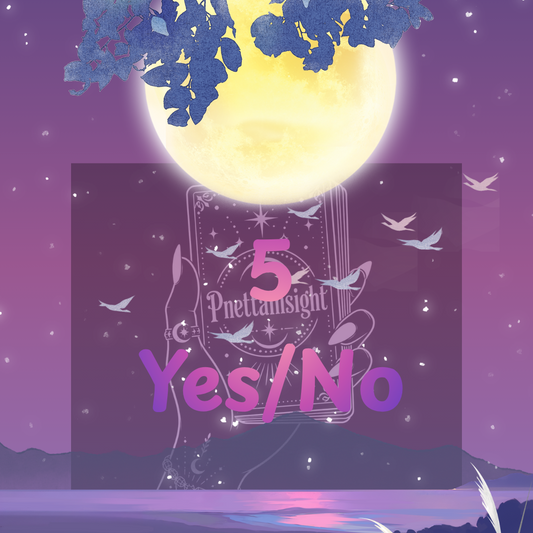 5 Yes/No Questions